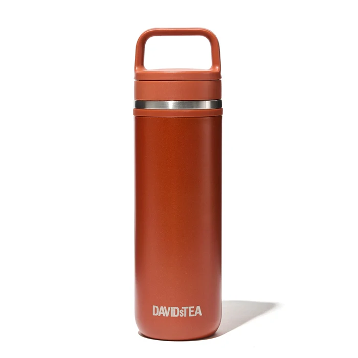 DAVIDsTEA Pumpkin Spice Carry Travel Mug