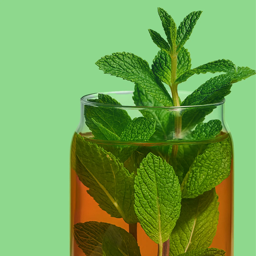 DAVIDsTEA Organic Spearmint To Be Tea — SKU SB-FB6799-0AA99B99387360 - Image 4